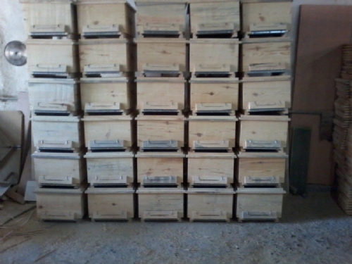 Polen Tuzaksız Arı Kovanı